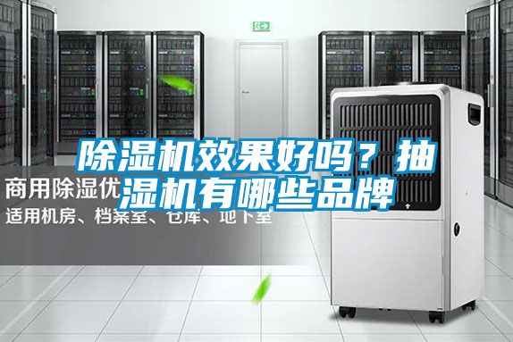 除濕機(jī)效果好嗎？抽濕機(jī)有哪些品牌
