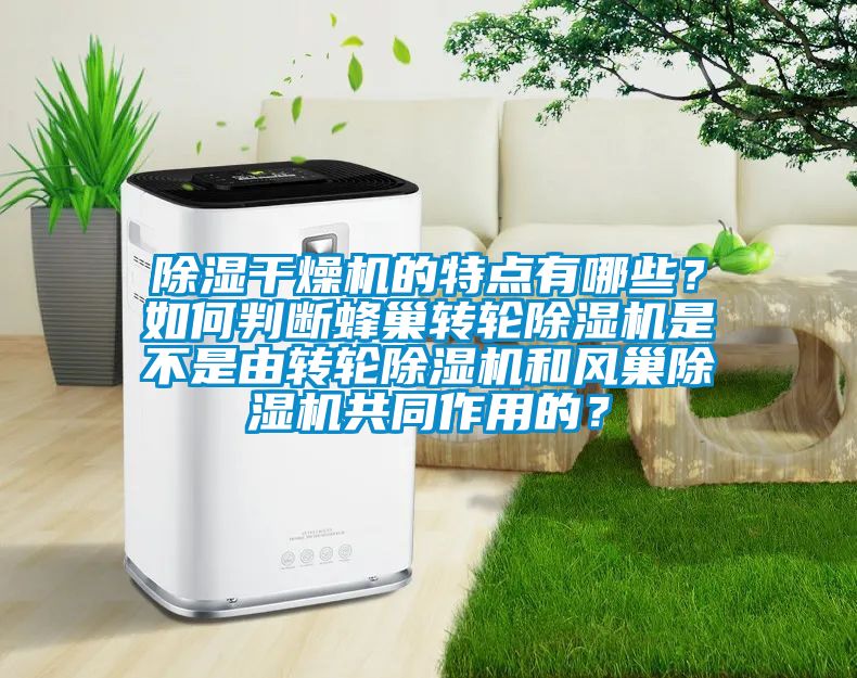 除濕干燥機(jī)的特點有哪些？如何判斷蜂巢轉(zhuǎn)輪除濕機(jī)是不是由轉(zhuǎn)輪除濕機(jī)和風(fēng)巢除濕機(jī)共同作用的？
