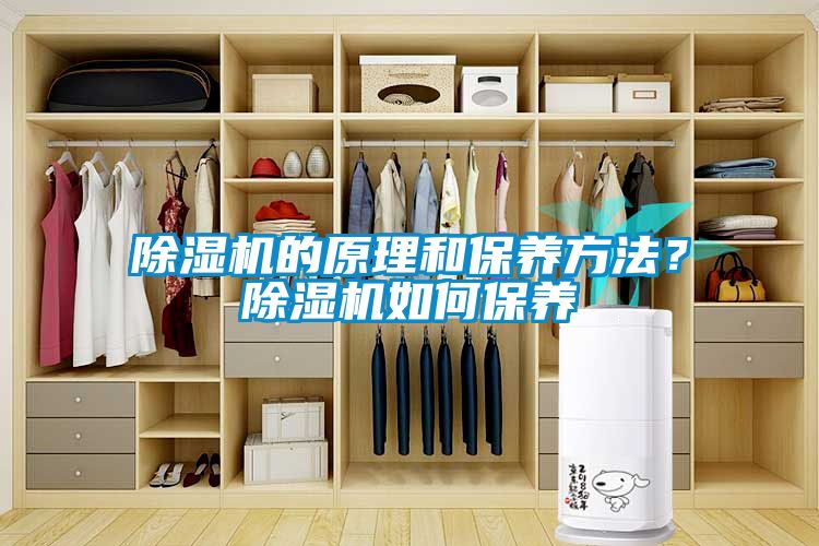 除濕機的原理和保養(yǎng)方法？除濕機如何保養(yǎng)