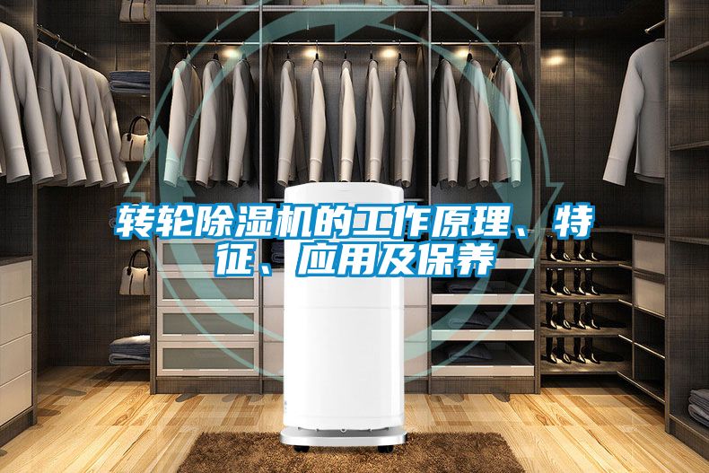轉(zhuǎn)輪除濕機的工作原理、特征、應用及保養(yǎng)