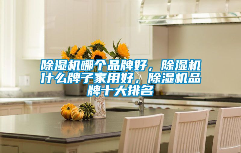 除濕機(jī)哪個(gè)品牌好，除濕機(jī)什么牌子家用好，除濕機(jī)品牌十大排名
