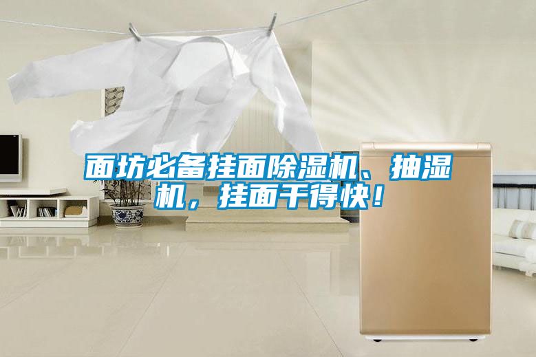面坊必備掛面除濕機(jī)、抽濕機(jī)，掛面干得快！