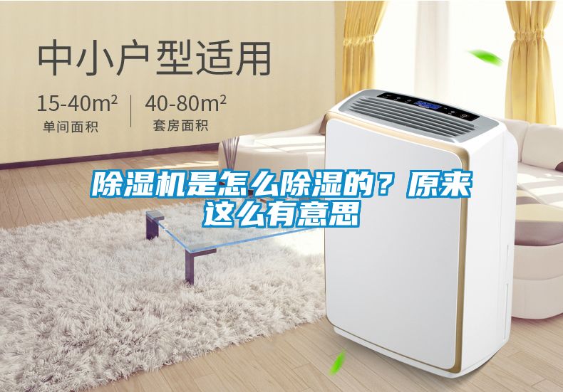 除濕機(jī)是怎么除濕的？原來這么有意思
