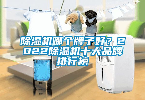 除濕機(jī)哪個牌子好？2022除濕機(jī)十大品牌排行榜