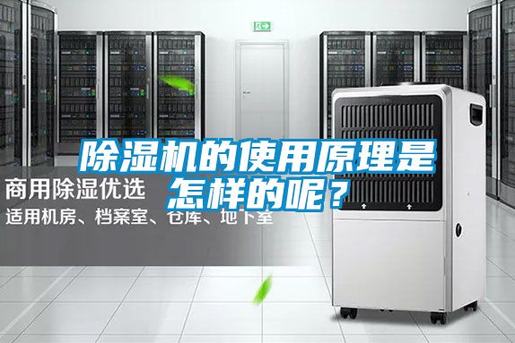 除濕機的使用原理是怎樣的呢？