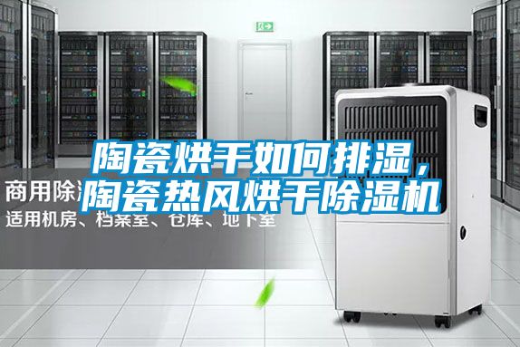 陶瓷烘干如何排濕，陶瓷熱風(fēng)烘干除濕機