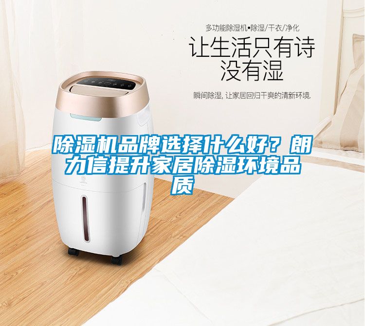 除濕機(jī)品牌選擇什么好？朗力信提升家居除濕環(huán)境品質(zhì)
