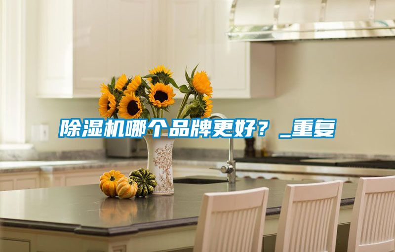 除濕機(jī)哪個(gè)品牌更好？_重復(fù)