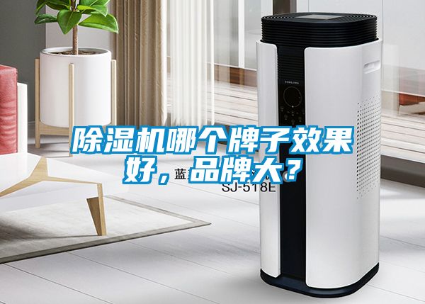 除濕機(jī)哪個牌子效果好，品牌大？