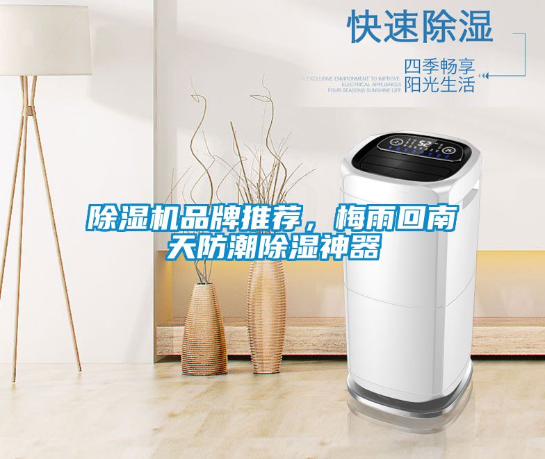 除濕機品牌推薦，梅雨回南天防潮除濕神器