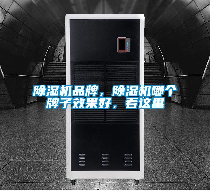 除濕機(jī)品牌，除濕機(jī)哪個牌子效果好，看這里