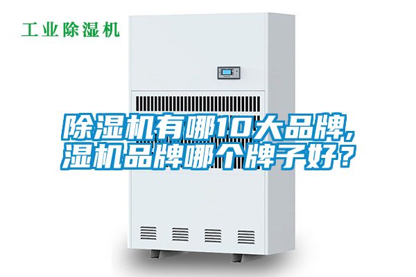 除濕機(jī)有哪10大品牌,濕機(jī)品牌哪個(gè)牌子好？