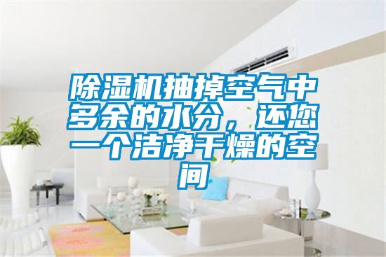 除濕機(jī)抽掉空氣中多余的水分，還您一個潔凈干燥的空間