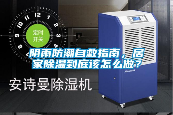 陰雨防潮自救指南，居家除濕到底該怎么做？