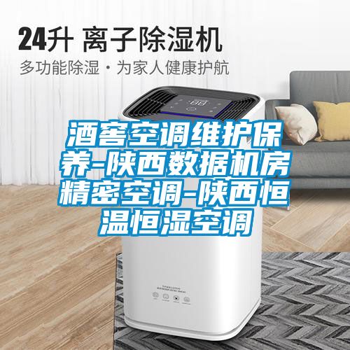 酒窖空調維護保養(yǎng)-陜西數據機房精密空調-陜西恒溫恒濕空調