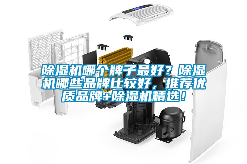 除濕機(jī)哪個(gè)牌子最好？除濕機(jī)哪些品牌比較好，推薦優(yōu)質(zhì)品牌+除濕機(jī)精選！