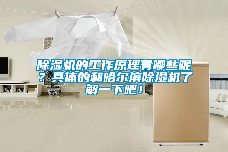 除濕機的工作原理有哪些呢？具體的和哈爾濱除濕機了解一下吧！