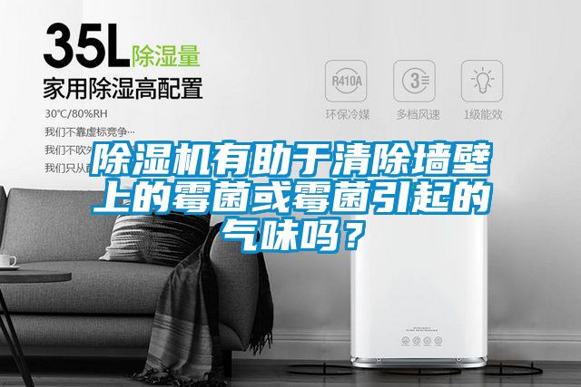 除濕機(jī)有助于清除墻壁上的霉菌或霉菌引起的氣味嗎？