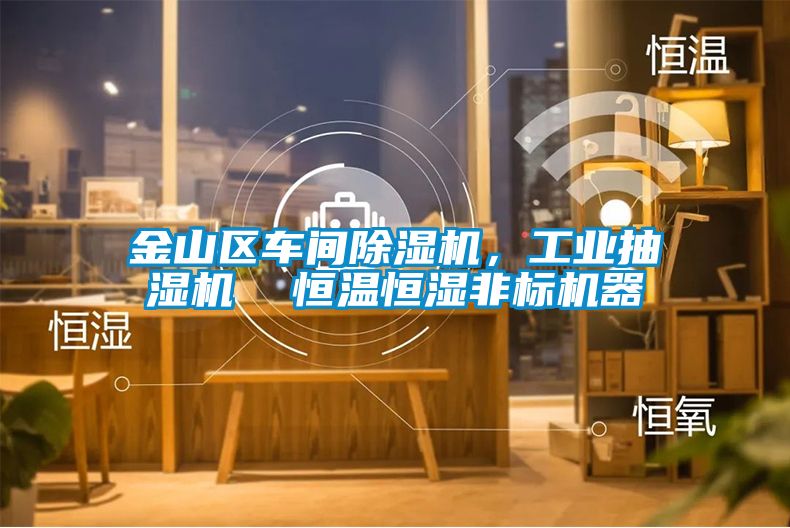 金山區(qū)車間除濕機，工業(yè)抽濕機  恒溫恒濕非標機器