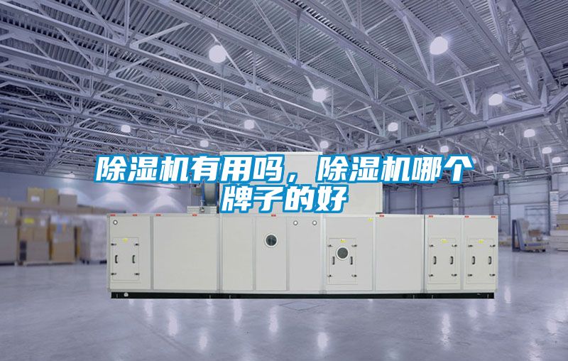 除濕機(jī)有用嗎，除濕機(jī)哪個(gè)牌子的好