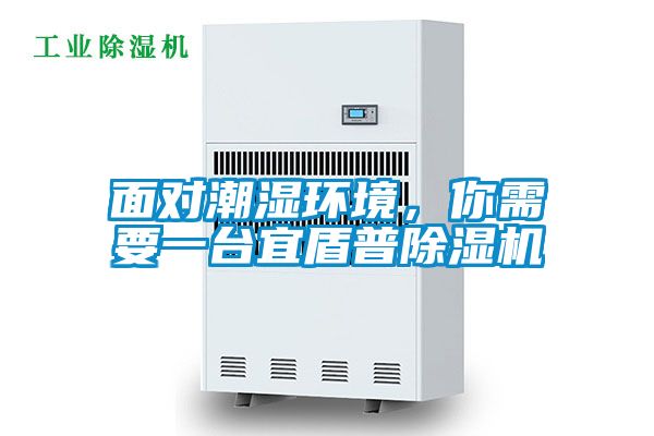 面對潮濕環(huán)境，你需要一臺宜盾普除濕機(jī)