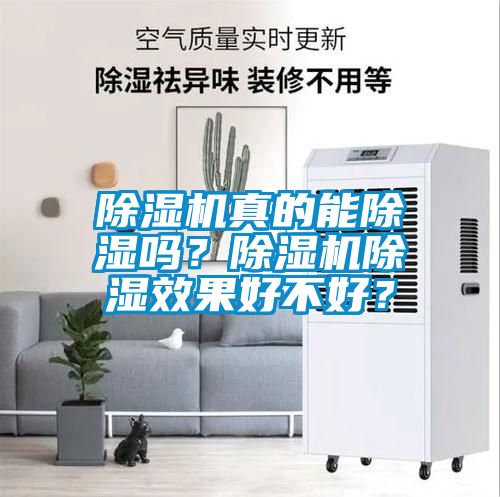 除濕機(jī)真的能除濕嗎？除濕機(jī)除濕效果好不好？