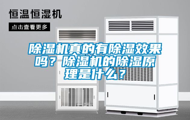 除濕機(jī)真的有除濕效果嗎？除濕機(jī)的除濕原理是什么？