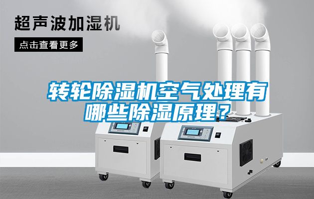 轉(zhuǎn)輪除濕機(jī)空氣處理有哪些除濕原理？
