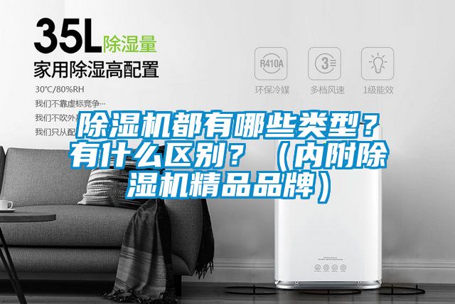 除濕機(jī)都有哪些類型？有什么區(qū)別？（內(nèi)附除濕機(jī)精品品牌）