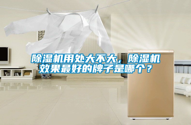 除濕機用處大不大，除濕機效果最好的牌子是哪個？