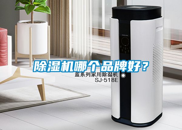 除濕機(jī)哪個(gè)品牌好？