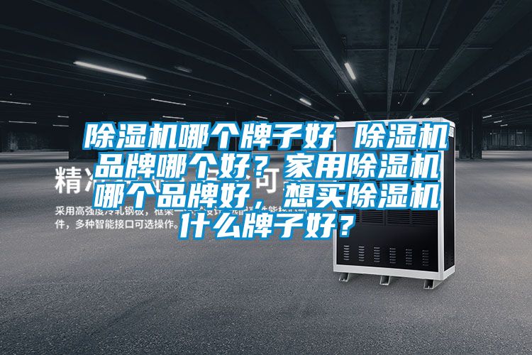 除濕機哪個牌子好 除濕機品牌哪個好？家用除濕機哪個品牌好，想買除濕機什么牌子好？