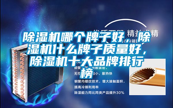 除濕機(jī)哪個牌子好，除濕機(jī)什么牌子質(zhì)量好，除濕機(jī)十大品牌排行榜