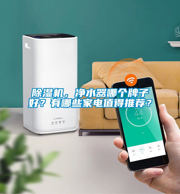 除濕機(jī)，凈水器哪個牌子好？有哪些家電值得推薦？
