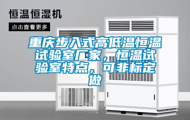 重慶步入式高低溫恒溫試驗(yàn)室廠家，恒溫試驗(yàn)室特點(diǎn)，可非標(biāo)定做