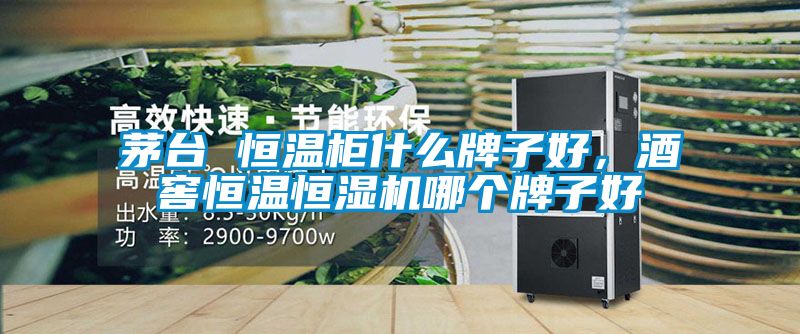 茅臺 恒溫柜什么牌子好，酒窖恒溫恒濕機(jī)哪個牌子好