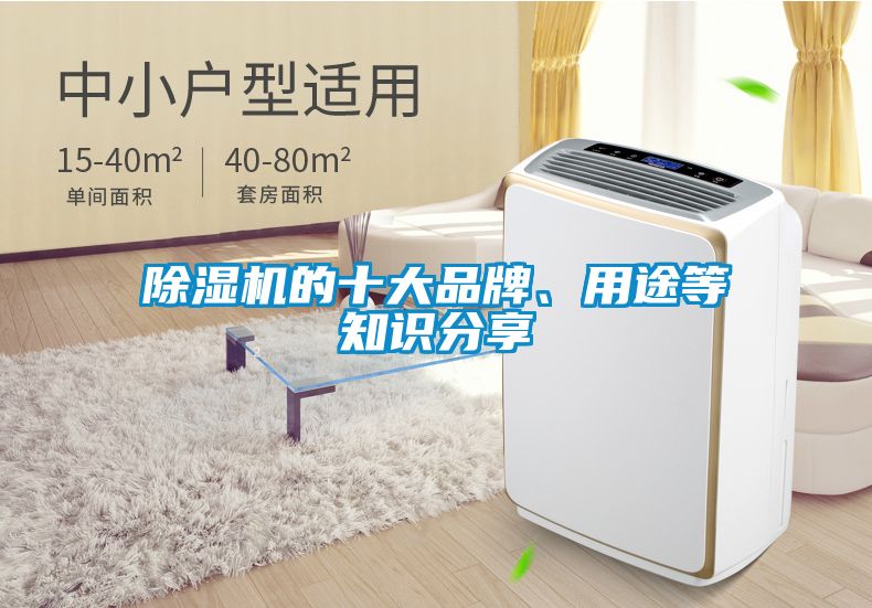 除濕機的十大品牌、用途等知識分享