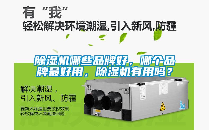 除濕機(jī)哪些品牌好，哪個(gè)品牌最好用，除濕機(jī)有用嗎？