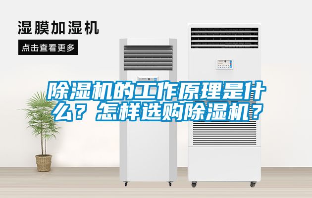 除濕機的工作原理是什么？怎樣選購除濕機？