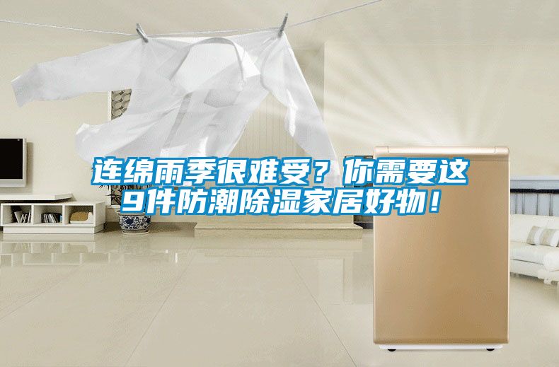 連綿雨季很難受？你需要這9件防潮除濕家居好物！
