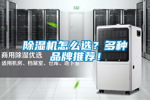 除濕機怎么選？多種品牌推薦！