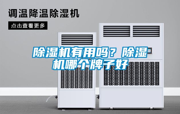 除濕機(jī)有用嗎？除濕機(jī)哪個(gè)牌子好