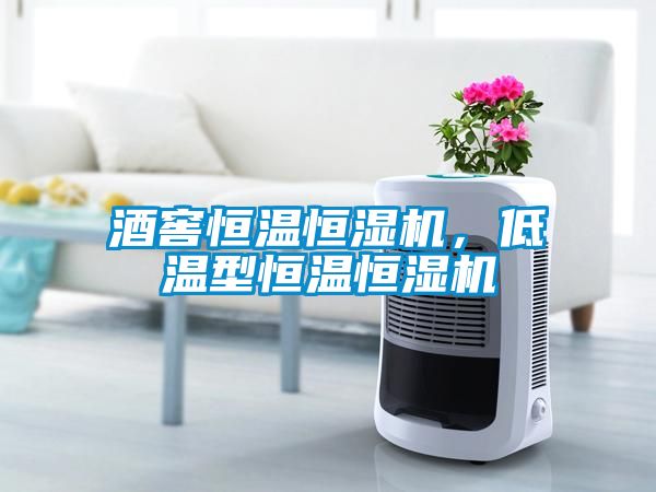 酒窖恒溫恒濕機，低溫型恒溫恒濕機