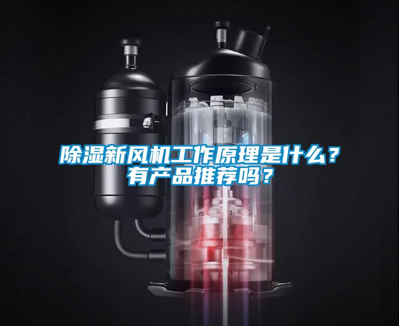 除濕新風(fēng)機(jī)工作原理是什么？有產(chǎn)品推薦嗎？