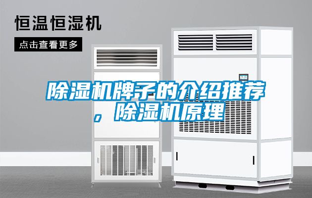 除濕機(jī)牌子的介紹推薦，除濕機(jī)原理