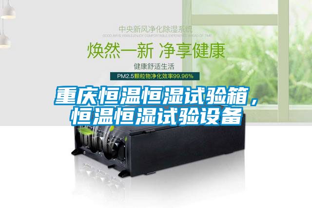 重慶恒溫恒濕試驗(yàn)箱，恒溫恒濕試驗(yàn)設(shè)備