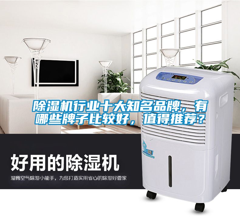 除濕機(jī)行業(yè)十大知名品牌，有哪些牌子比較好，值得推薦？