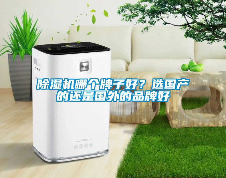 除濕機(jī)哪個(gè)牌子好？選國(guó)產(chǎn)的還是國(guó)外的品牌好