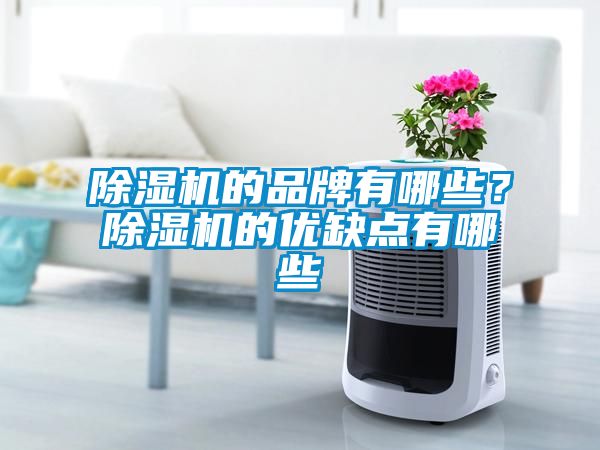 除濕機的品牌有哪些？除濕機的優(yōu)缺點有哪些