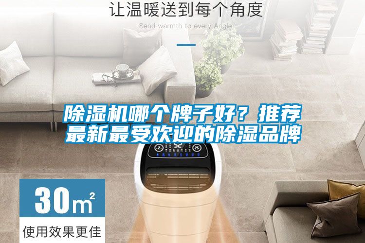 除濕機(jī)哪個牌子好？推薦最新最受歡迎的除濕品牌